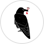 SCI-HUB论文数据库